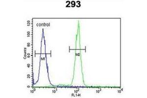 Flow cytometric analysis of 293 cells using OSTA Antibody (C-term) Cat. (OST alpha antibody  (C-Term))