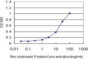Detection limit for recombinant GST tagged KCTD9 is approximately 0. (KCTD9 antibody  (AA 1-389))