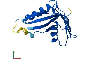 Protein Structure (PS) image for phosphohistidine Phosphatase 1 (PHPT1) (AA 1-124) protein (His tag) (ABIN7561228)