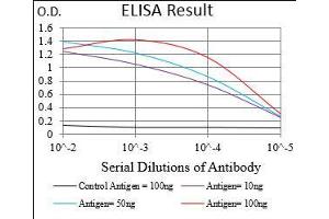 Black line: Control Antigen (100 ng), Purple line: Antigen(10 ng), Blue line: Antigen (50 ng), Red line: Antigen (100 ng), (PTPN1 antibody  (AA 40-246))
