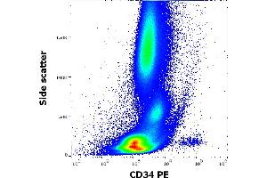 Flow cytometry surface staining pattern of human peripheral whole blood stained using anti-human CD34 (4H11[APG]) PE antibody (20 μL reagent / 100 μL of peripheral whole blood). (CD34 antibody  (PE))