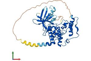 AlphaFold protein structure predicition of Mouse Recombinant Cdkl1 Protein, UniprotID Q8CEQ0