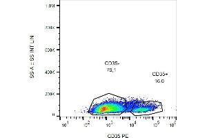 Flow cytometry analysis (surface staining) of CD35 in human peripheral blood with anti-CD35 (E11) PE. (CD35 antibody  (PE))