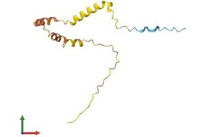AlphaFold protein structure predicition of Human Recombinant C14orf178 Protein, UniprotID Q8N769