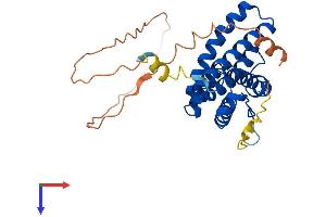 Ubiquinol-Cytochrome C Reductase Complex Chaperone (UQCC) (AA 1-299) protein (His tag)