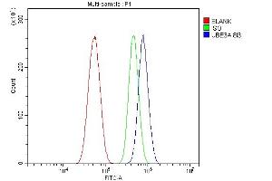 Flow Cytometry analysis of U87 cells using anti-UBE3A antibody (ABIN7599564). (ube3a antibody  (AA 1-860))
