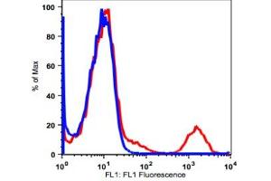 Image no. 2 for anti-Membrane-Spanning 4-Domains, Subfamily A, Member 1 (MS4A1) antibody (FITC) (ABIN2704213) (CD20 antibody  (FITC))