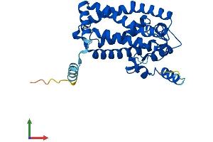 AlphaFold protein structure predicition of Mouse Recombinant Msmo1 Protein, UniprotID Q9CRA4 (SC4MOL Protein (AA 1-293) (His tag))