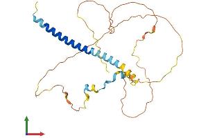 AlphaFold protein structure predicition of Human Recombinant PRR7 Protein, UniprotID Q8TB68 (PRR7 Protein (AA 1-274) (His tag))