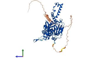 AlphaFold protein structure predicition of Mouse Recombinant Riox1 Protein, UniprotID Q9JJF3 (C14orf169 + NO66 Protein (AA 1-603) (His tag))