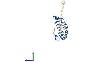 AlphaFold protein structure predicition of Human Recombinant ANP32A Protein, UniprotID P39687