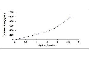 Typical standard curve (VEGFB ELISA Kit)