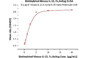 Immobilized Mouse IL-15 R alpha Fc Chimera Protein at 2 μg/mL (100 μL/well) can bind Biotinylated Mouse IL-15, Fc,Avitag (ABIN6731261,ABIN6809926) with a linear range of 0. (IL-15 Protein (AA 49-162) (Fc Tag,AVI tag,Biotin))