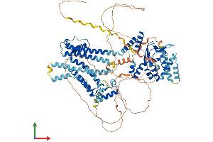 AlphaFold protein structure predicition of Mouse Recombinant Hcn2 Protein, UniprotID O88703 (HCN2 Protein (AA 1-863) (His tag))