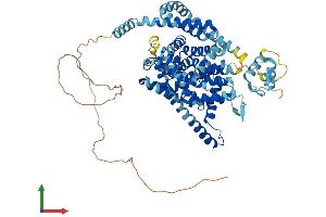 AlphaFold protein structure predicition of Mouse Recombinant Slc28a3 Protein, UniprotID Q9ERH8