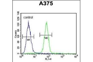 DERA Antibody (N-term) (ABIN652710 and ABIN2842470) flow cytometric analysis of  cells (right histogram) compared to a negative control cell (left histogram).