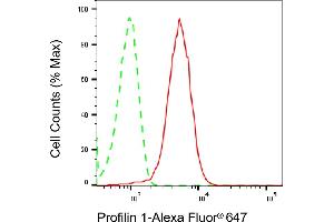 Flow cytometric analysis of Profilin 1 expression in HepG2 cells using Profilin 1 antibody (ABIN7799904), 1:2,000). (Recombinant PFN1 antibody)