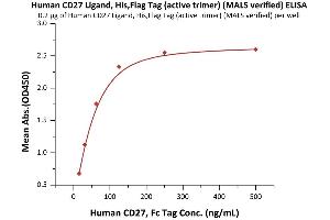 ELISA image for CD70 Molecule (CD70) (AA 52-193) (Active) protein (DYKDDDDK Tag,His tag) (ABIN6952264)