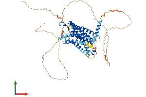 Protein Structure (PS) image for G Protein-Coupled Receptor 152 (GPR152) (AA 1-511) protein (His tag) (ABIN7559006)