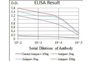 Black line: Control Antigen (100 ng), Purple line: Antigen(10 ng), Blue line: Antigen (50 ng), Red line: Antigen (100 ng), (C17orf53 antibody  (AA 282-527))