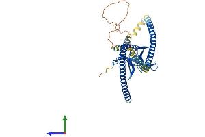 AlphaFold protein structure predicition of Mouse Recombinant Homer3 Protein, UniprotID Q99JP6 (HOMER3 Protein (AA 1-356) (His tag))