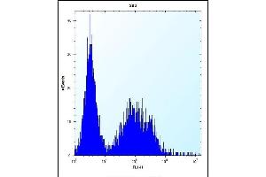 TSSK6 Antibody (C-term) (ABIN656396 and ABIN2845691) flow cytometric analysis of 293 cells (right histogram) compared to a negative control cell (left histogram). (TSSK6 antibody  (C-Term))