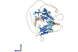AlphaFold protein structure predicition of Human Recombinant PLEKHM3 Protein, UniprotID Q6ZWE6 (PLEKHM3 Protein (AA 1-761) (His tag))