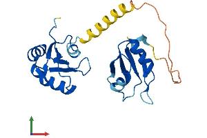 AlphaFold protein structure predicition of Mouse Recombinant Snrpb2 Protein, UniprotID Q9CQI7 (SNRPB2 Protein (AA 1-225) (His tag))