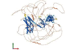 AlphaFold protein structure predicition of Mouse Recombinant Fgd6 Protein, UniprotID Q69ZL1