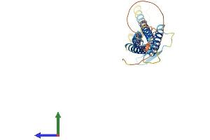 AlphaFold protein structure predicition of Mouse Recombinant Cldn18 Protein, UniprotID P56857 (Claudin 18 Protein (CLDN18) (AA 1-264) (His tag))
