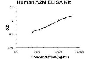 Human A2M/alpha2-Macroglobulin PicoKine ELISA Kit standard curve