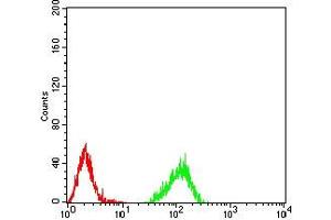 Flow cytometric analysis of Raji cells using HIST2H4A(20Me3) mouse mAb (green) and negative control (red). (Histone Cluster 2, H4a (HIST2H4A) (3meLys20) antibody)