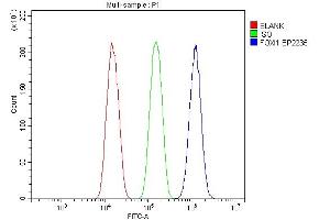 Flow Cytometry analysis of A549 cells using anti-FOXI1 antibody (ABIN7599327).