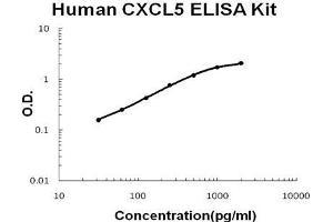 Human CXCL5/ENA-78 PicoKine ELISA Kit standard curve