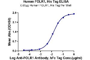 Immobilized Human FOLR1, His Tag at 0. (FOLR1 Protein (AA 25-233) (His-Avi Tag))
