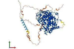 AlphaFold protein structure predicition of Human Recombinant MAN1C1 Protein, UniprotID Q9NR34 (MAN1C1 Protein (AA 1-630) (His tag))