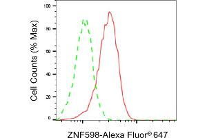 Flow cytometric analysis of ZNF598 expression in HT- cells using ZNF598 antibody (ABIN7800898), 1:2,000). (ZNF598 antibody)