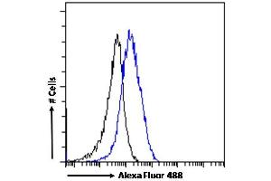 (ABIN334455) Flow cytometric analysis of paraformaldehyde fixed A431 cells (blue line), permeabilized with 0. (P2RX4 antibody  (C-Term))