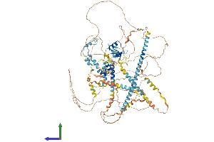 AlphaFold protein structure predicition of Human Recombinant GIGYF1 Protein, UniprotID O75420 (GIGYF1 Protein (AA 1-1035) (His tag))