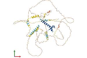 AlphaFold protein structure predicition of Mouse Recombinant Dmrt2 Protein, UniprotID Q8BG36
