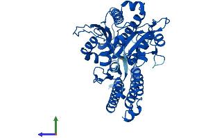 AlphaFold protein structure predicition of Human Recombinant FOLH1B Protein, UniprotID Q9HBA9 (FOLH1B Protein (AA 1-442) (His tag))