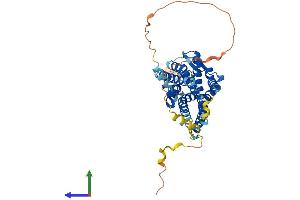 Protein Structure (PS) image for G Protein-Coupled Receptor 151 (GPR151) (AA 1-419) protein (His tag) (ABIN7548034)