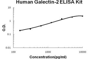 Human Galectin-2 PicoKine ELISA Kit standard curve (Galectin 2 ELISA Kit)