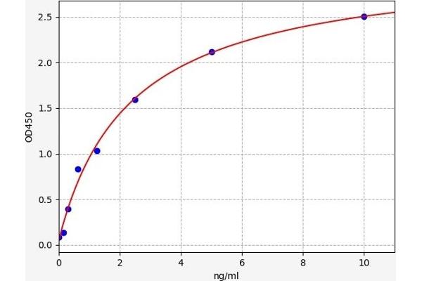 EEF2K ELISA Kit
