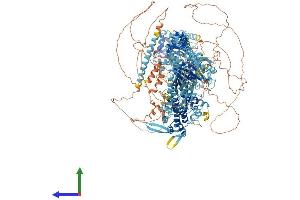 AlphaFold protein structure predicition of Mouse Recombinant Myo3a Protein, UniprotID Q8K3H5 (MYO3A Protein (AA 1-1613) (His tag))