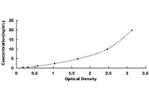 Poly (ADP-Ribose) Polymerase 1 (PARP1) ELISA Kit