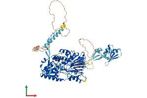 AlphaFold protein structure predicition of Human Recombinant CPSF2 Protein, UniprotID Q9P2I0