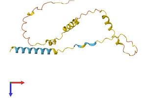 AlphaFold protein structure predicition of Human Recombinant CCDC140 Protein, UniprotID Q96MF4 (CCDC140 Protein (AA 1-163) (His tag))