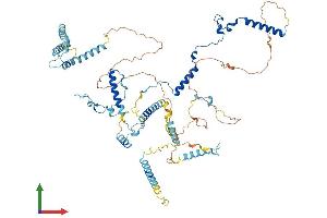 AlphaFold protein structure predicition of Human Recombinant MPHOSPH10 Protein, UniprotID O00566