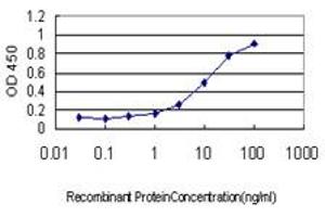 Detection limit for recombinant GST tagged STAT4 is approximately 0. (STAT4 antibody  (AA 1-748))
